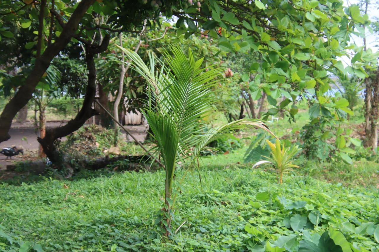 La Sirenita - Ometepe Hotel Altagracia Ngoại thất bức ảnh